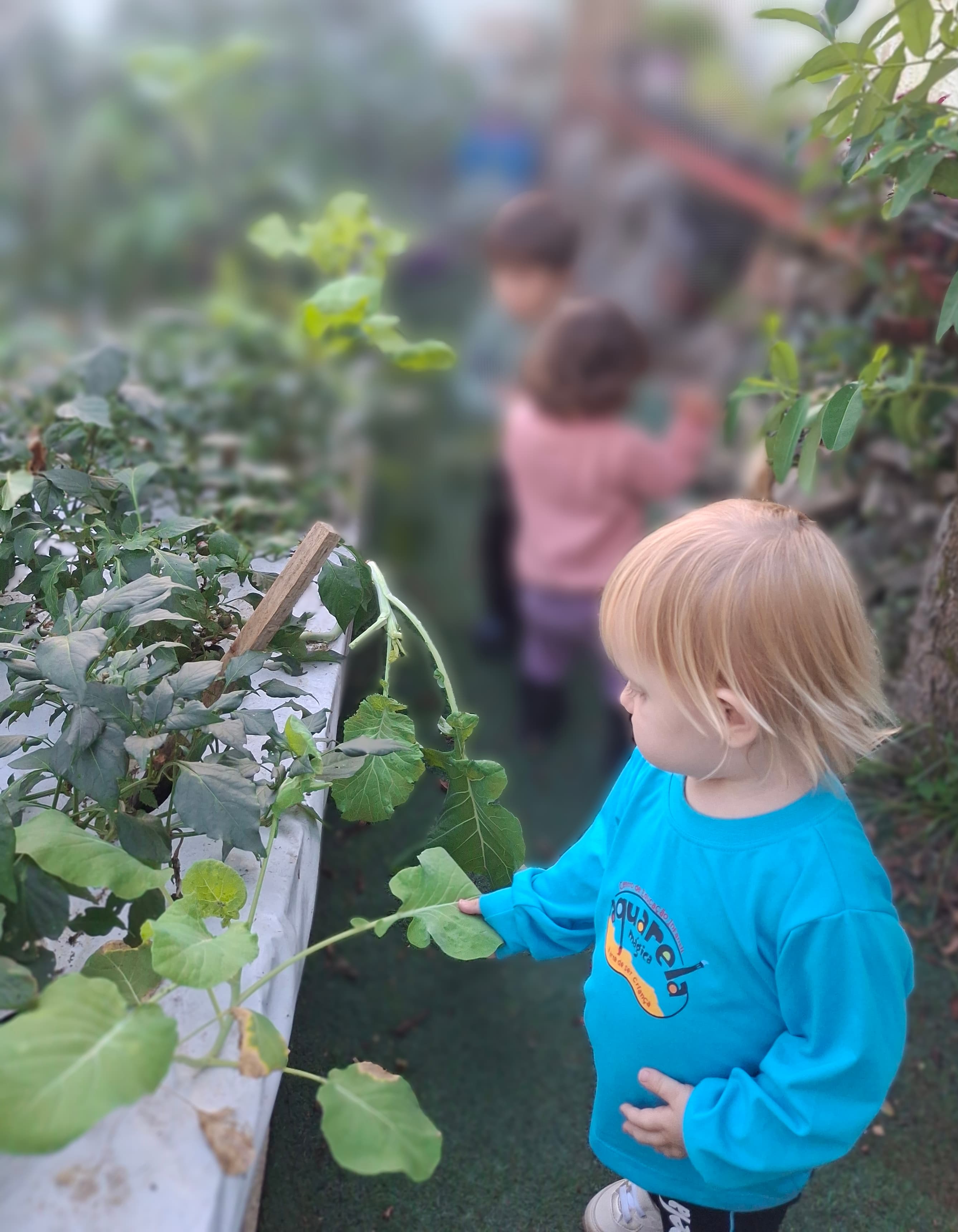 aprendendo a cultivar